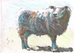 Sheep sketch with experimental colors
